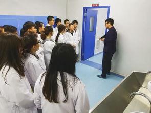 融合匠心與創意 GMP教學工廠中文化藝術交流活動的組織與探索