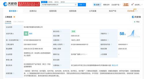 阿里巴巴同日成立兩家新數(shù)據(jù)科技公司，深化數(shù)據(jù)服務(wù)戰(zhàn)略布局